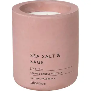 Produkt Vonná sojová svíčka doba hoření 55 h Fraga: Sea Salt and Sage – Blomus