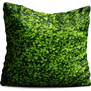 Produkt Zelený polštář Oyo home Ivy, 40 x 40 cm