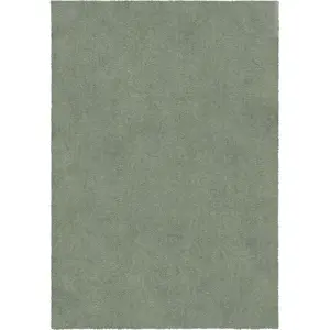 Zelený pratelný koberec z recyklovaných vláken 200x290 cm Fluffy – Flair Rugs